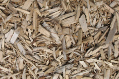 biomass boilers Llanfyrnach