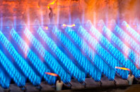 Llanfyrnach gas fired boilers